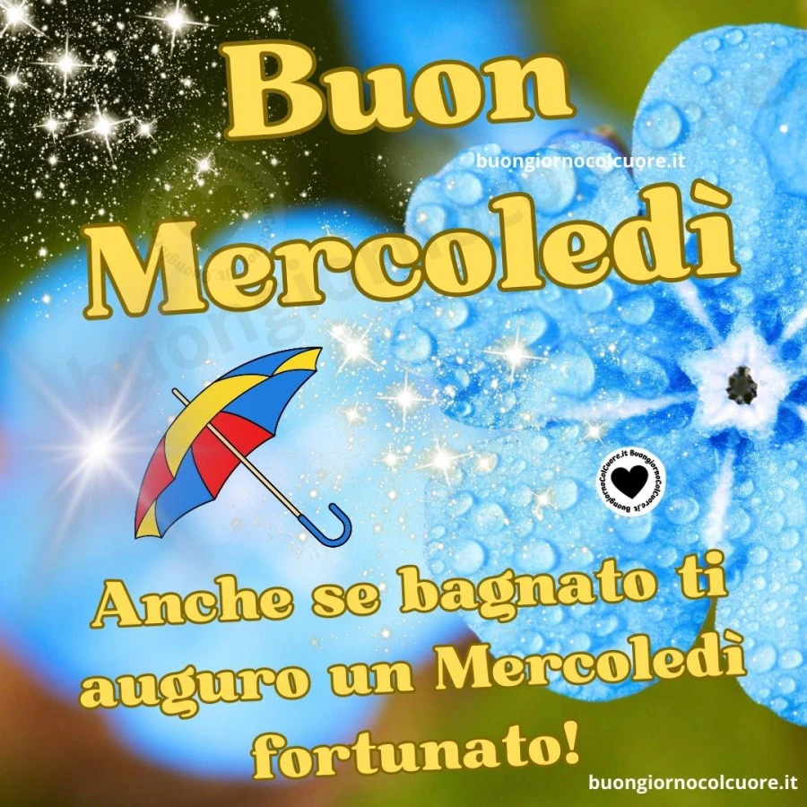 Anche se bagnato ti auguro un mercoledì fortunato! Buon mercoledì buongiornocolcuore