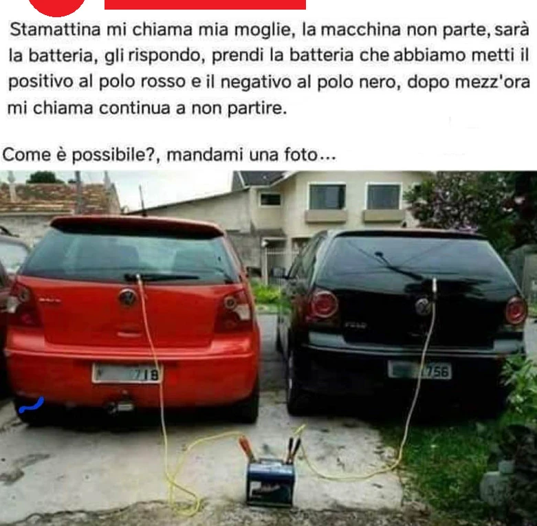 Vaccata