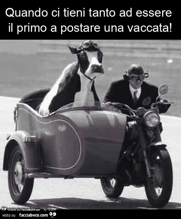 Quando ci tieni tanto ad essere il primo a postare una vaccata