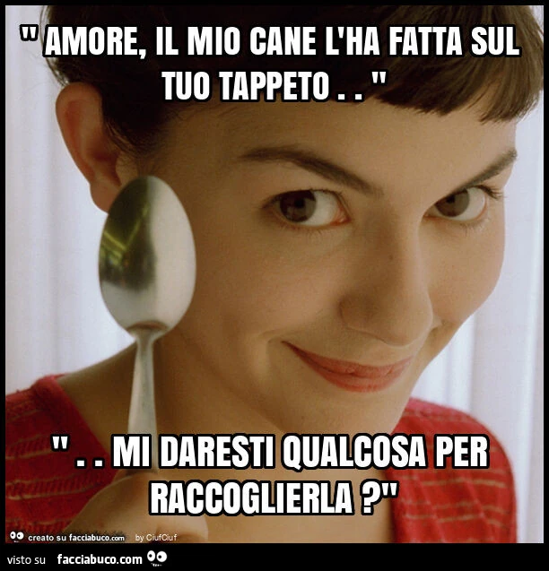 " amore, il mio cane l'ha fatta sul tuo tappeto. " ". Mi daresti qualcosa per raccoglierla? "