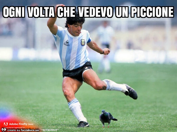 Ogni volta che vedevo un piccione