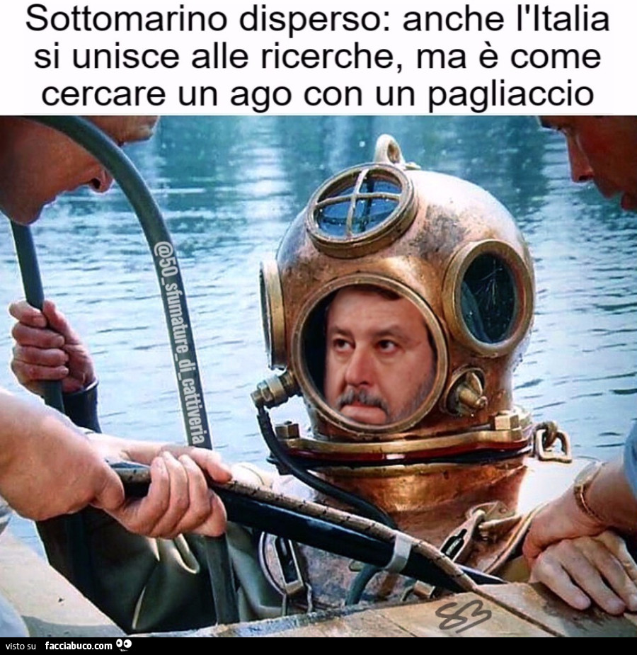 Salvini palombaro