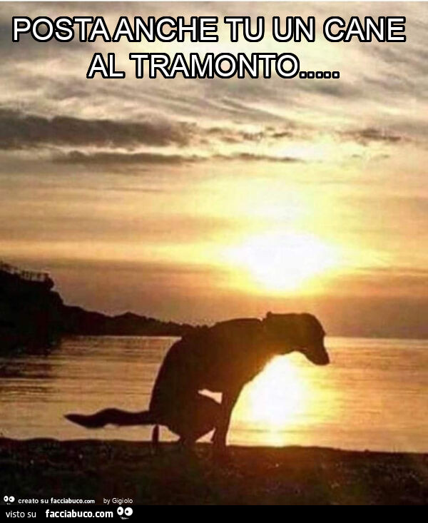 Posta anche tu un cane al tramonto