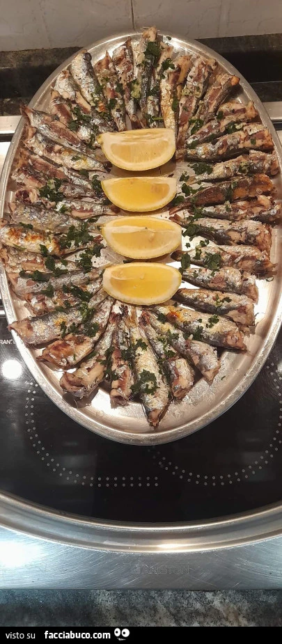 Vaccata