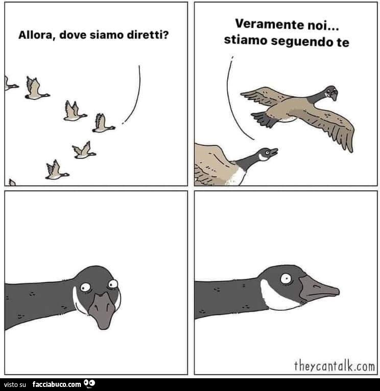 Allora, dove siamo diretti? Veramente noi… stiamo seguendo te