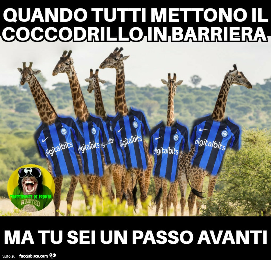 Quando tutti mettono il coccodrillo in barriera ma tu sei un passo avanti