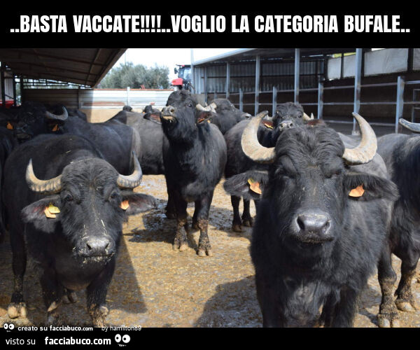 Basta vaccate. Voglio la categoria bufale