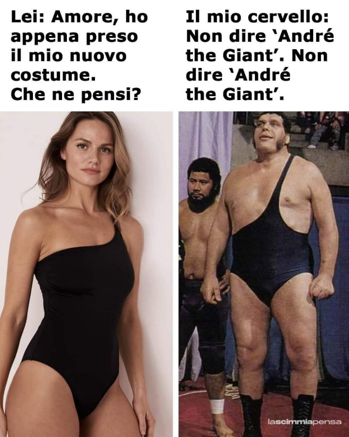 Andrè the giant