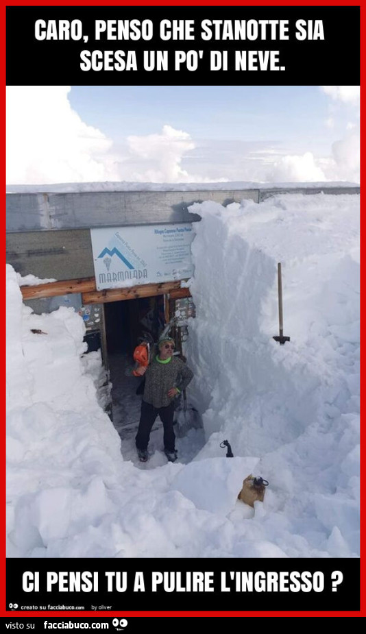 Caro, penso che stanotte sia scesa un po' di neve. Ci pensi tu a pulire l'ingresso?