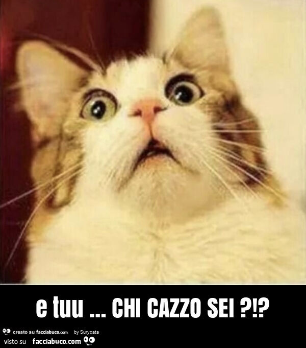 E tuu … chi cazzo sei?!?