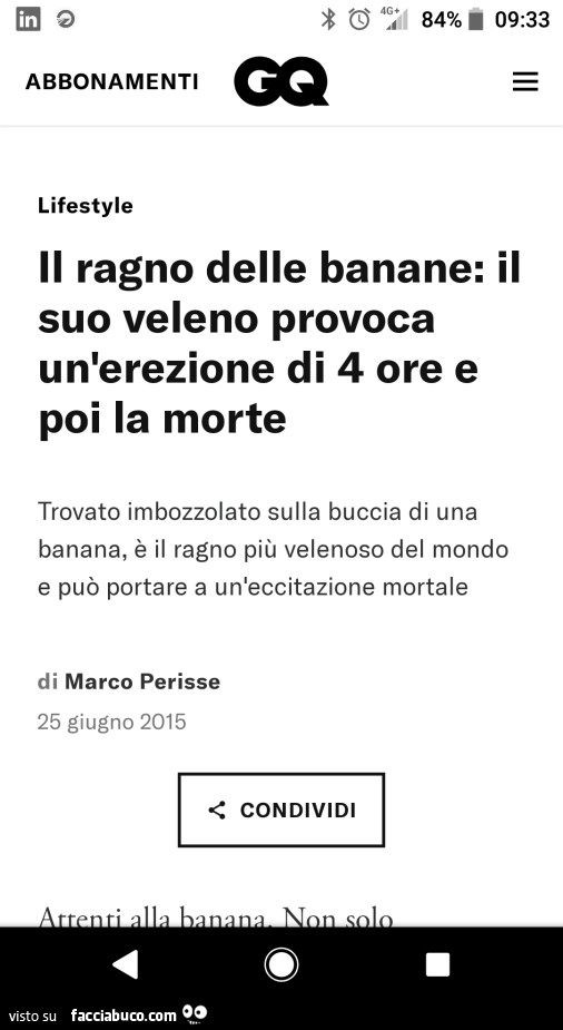 Il ragno delle banane: il suo veleno provoca un'erezione di 4 ore e poi la morte