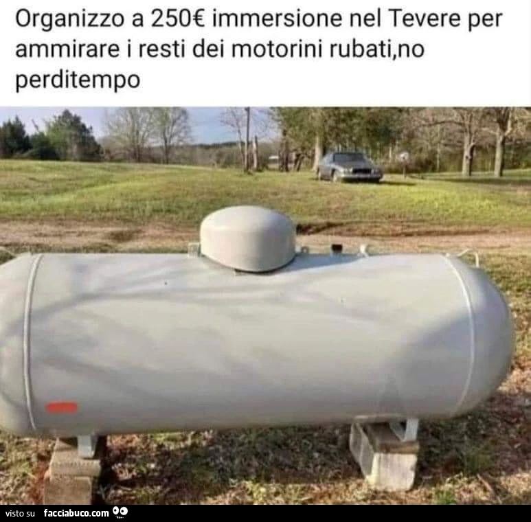 Immersioni