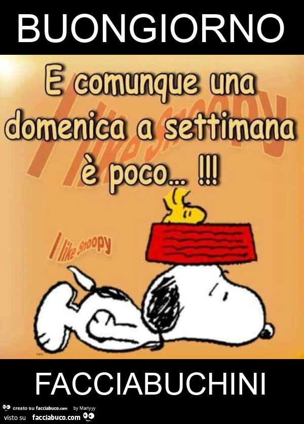 Buongiorno facciabuchini