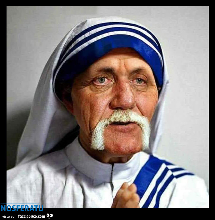 Madre Teresa non aveva i baffi