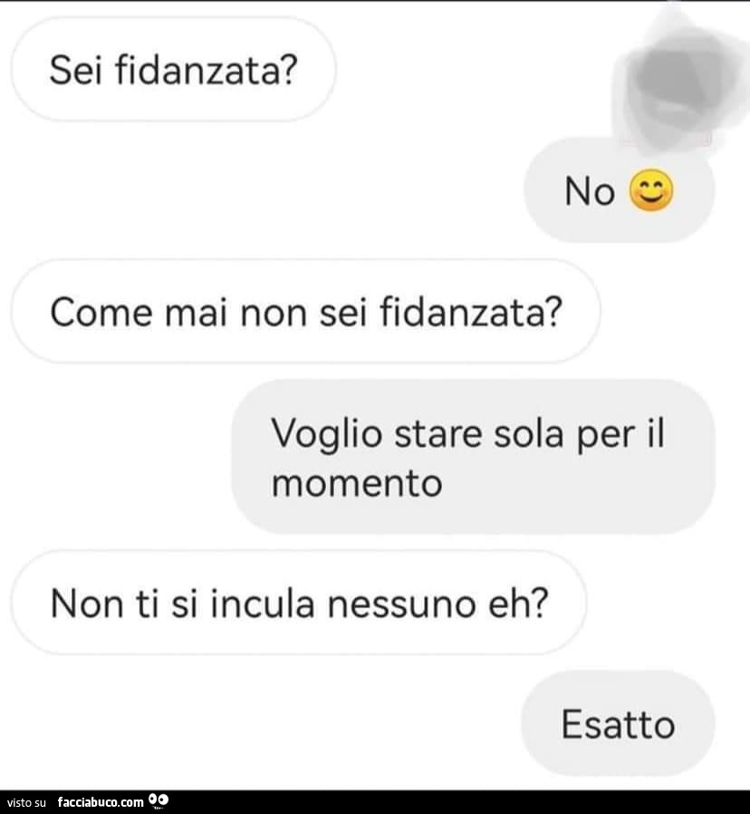 Sei fidanzata? No. Come mai non sei fidanzata? Voglio stare sola per il momento. Non ti si incula nessuno eh? Esatto