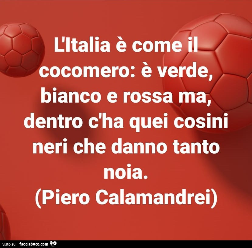 L'italia è come il cocomero: è verde, bianco e rossa ma, dentro c'ha quei cosini neri che danno tanto noia