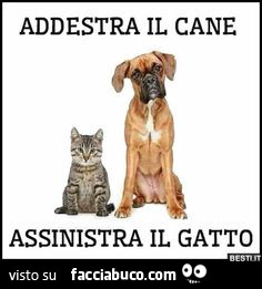 Battute infelici