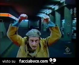 Vaccata