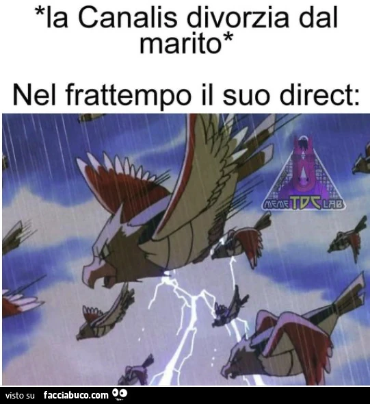 Vaccata