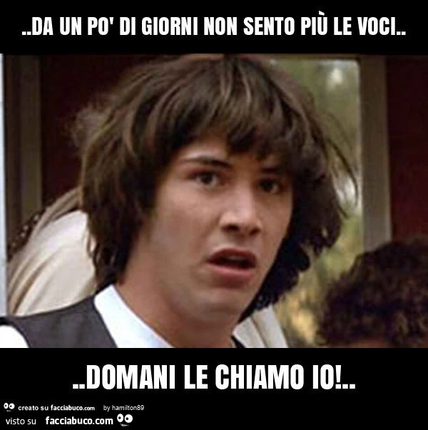 Da un po' di giorni non sento piรน le voci… domani le chiamo io