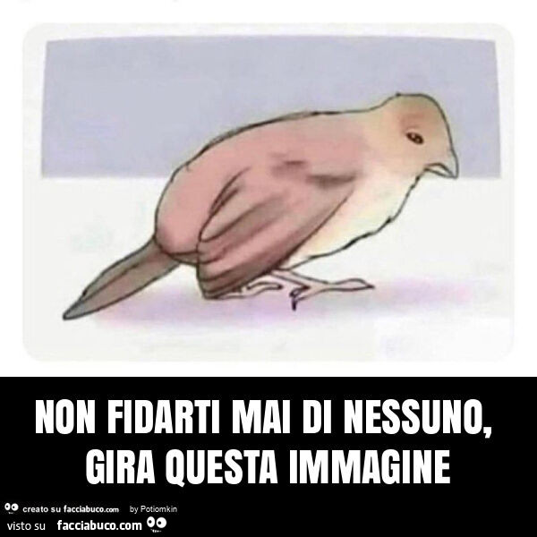 Non fidarti mai di nessuno, gira questa immagine