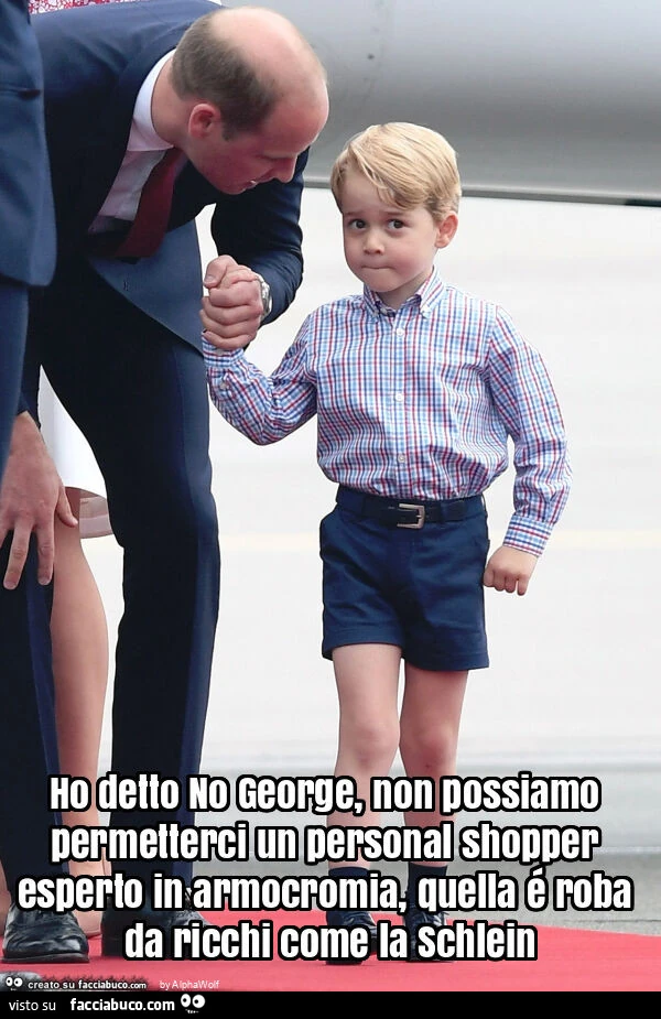Ho detto no george, non possiamo permetterci un personal shopper esperto in armocromia, quella é roba da ricchi come la schlein