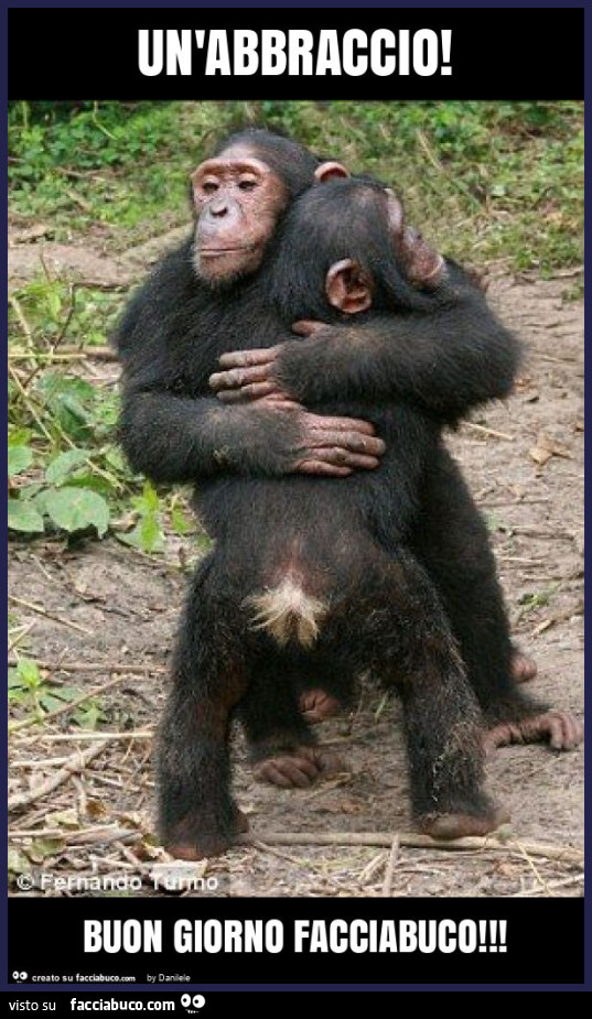 Un'abbraccio! Buon giorno facciabuco