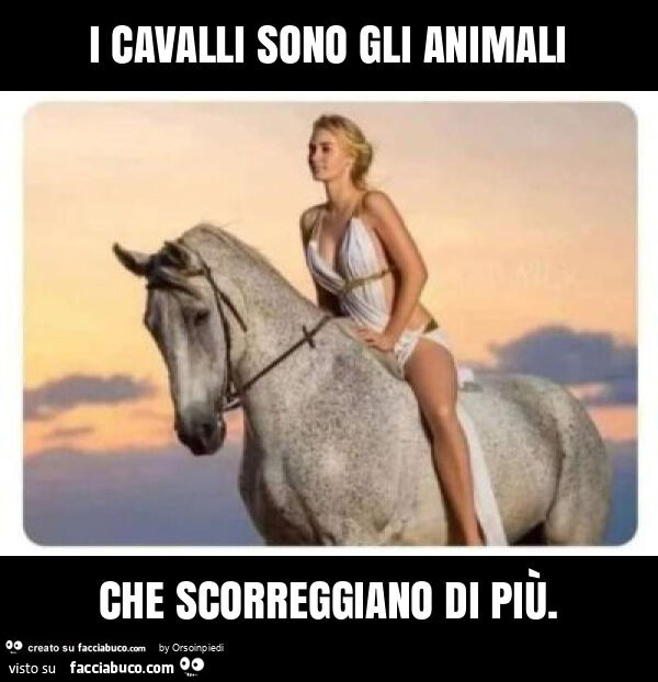 I cavalli sono gli animali che scorreggiano di più