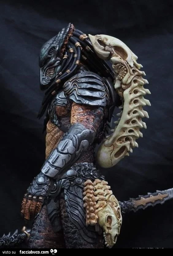 Vaccata
