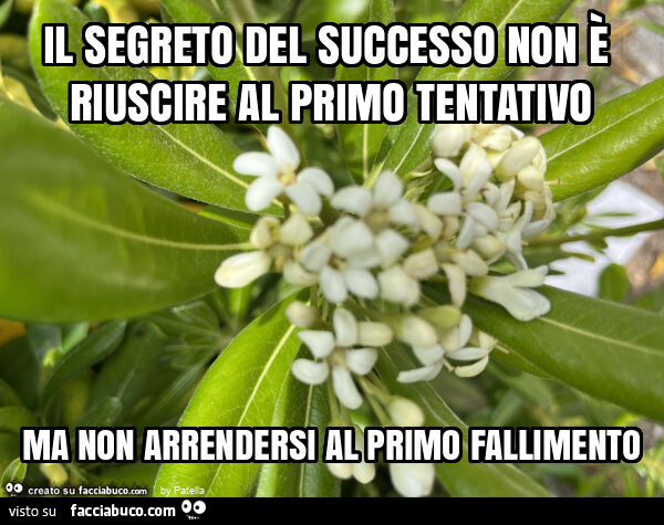 Il segreto del successo non è riuscire al primo tentativo ma non