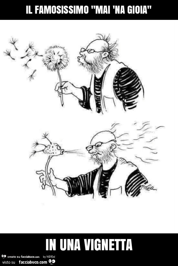 Il famosissimo "mai 'na gioia" in una vignetta