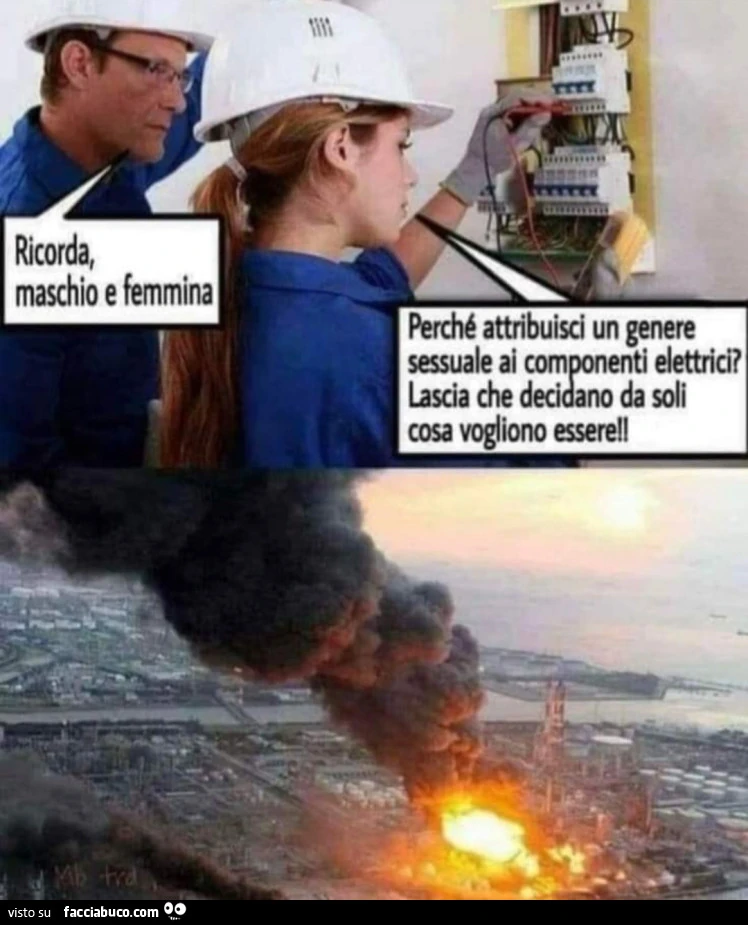 Vaccata