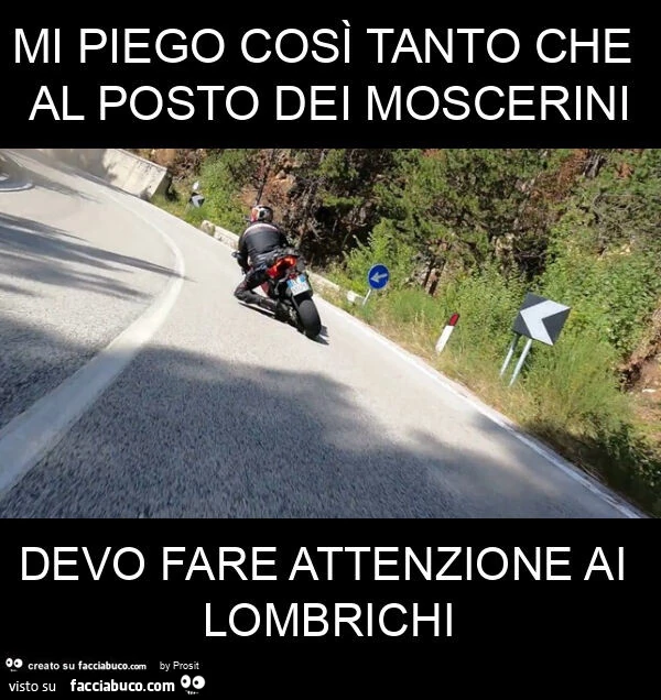Mi piego cosรฌ tanto che al posto dei moscerini devo fare attenzione ai lombrichi