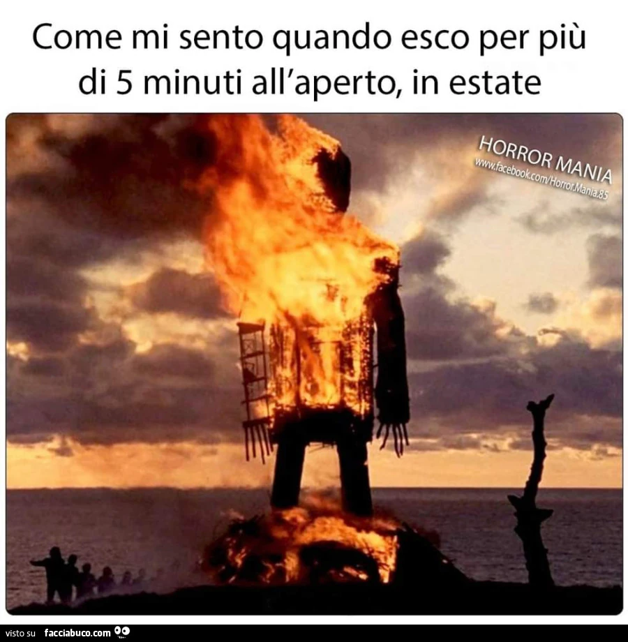 Vaccata