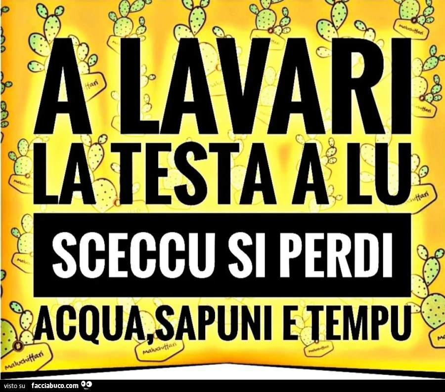 Vaccata