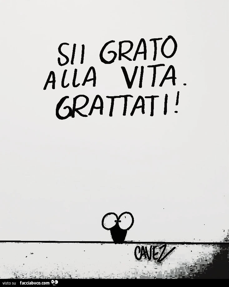 Sii grato alla vita. Grattati