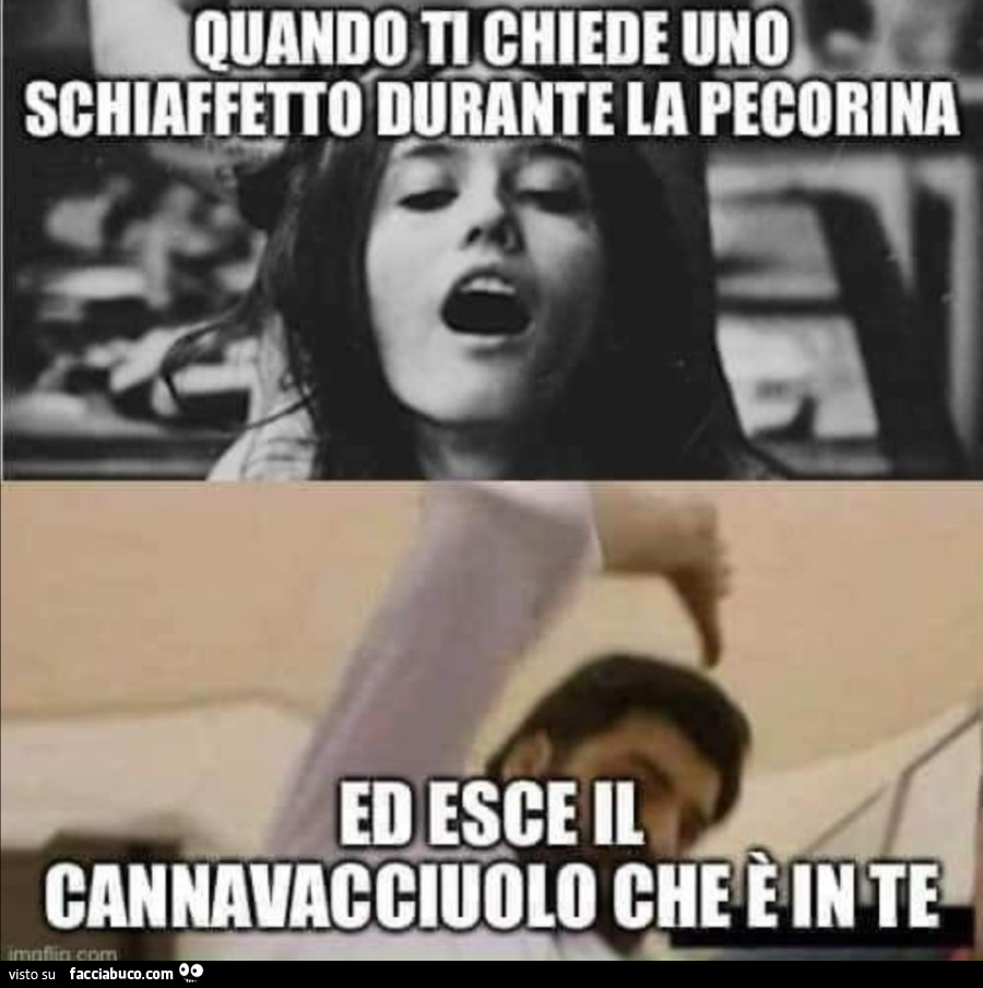 Vaccata