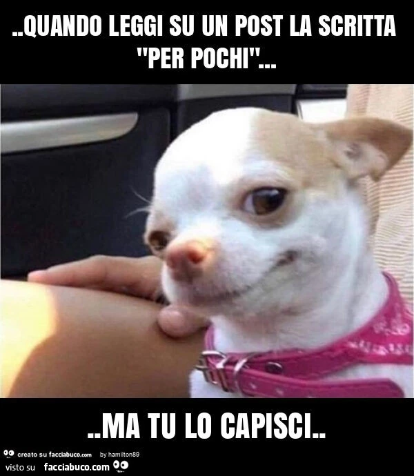Quando leggi su un post la scritta "per pochi"… ma tu lo capisci