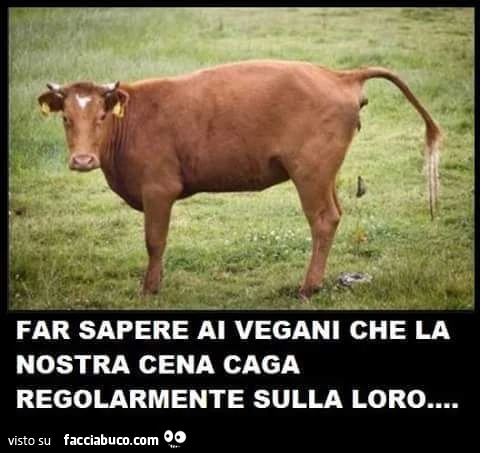 Vaccata