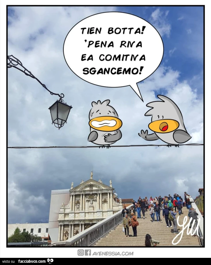Vaccata