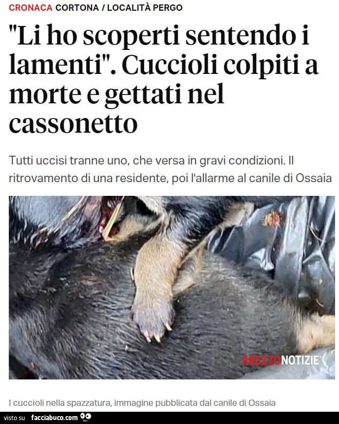 Vaccata