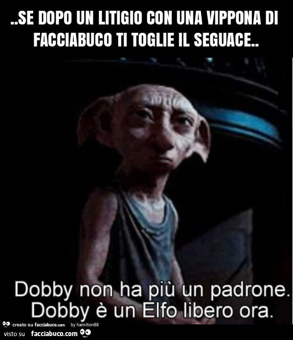 Se dopo un litigio una vippona di facciabuco ti toglie il seguace