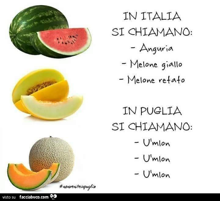In italia si chiamano anguria melone giallo melone retato. In Puglia si chiamano u mlon