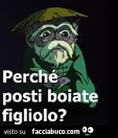 Vaccata
