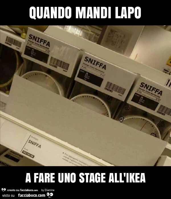 Quando mandi lapo a fare uno stage all'ikea