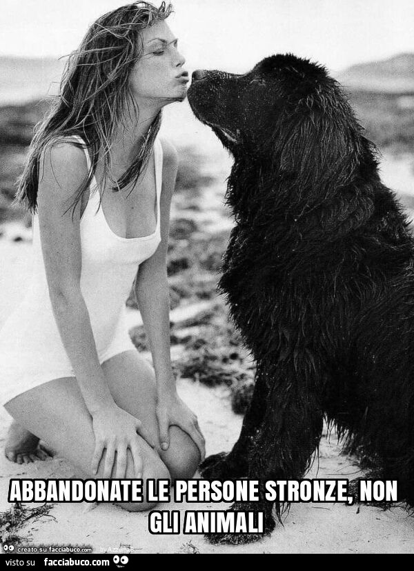 Abbandonate le persone stronze, non gli animali