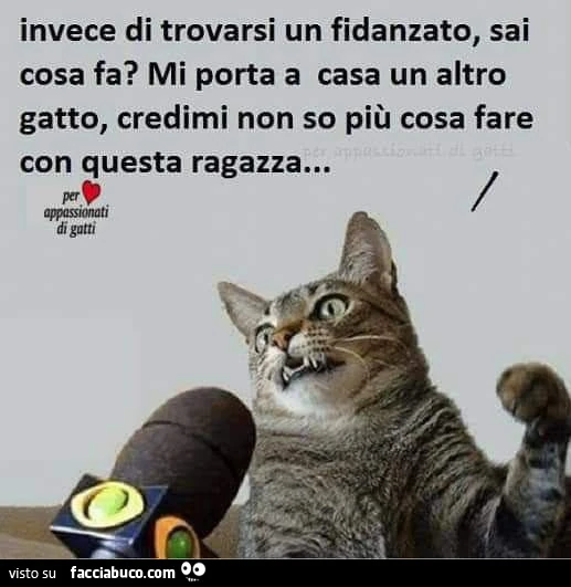 Vaccata