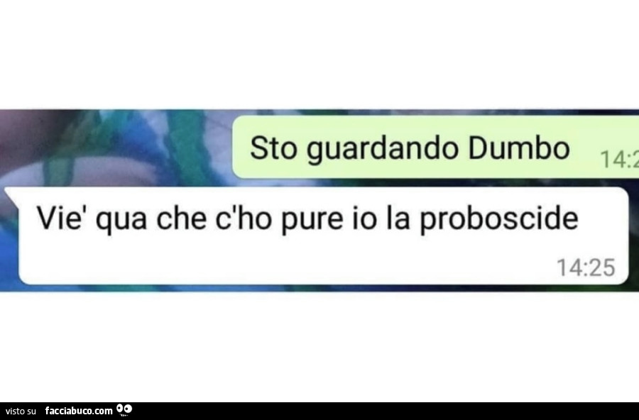 Sto guardando dumbo. Viè qua che c'ho pure io la proboscide