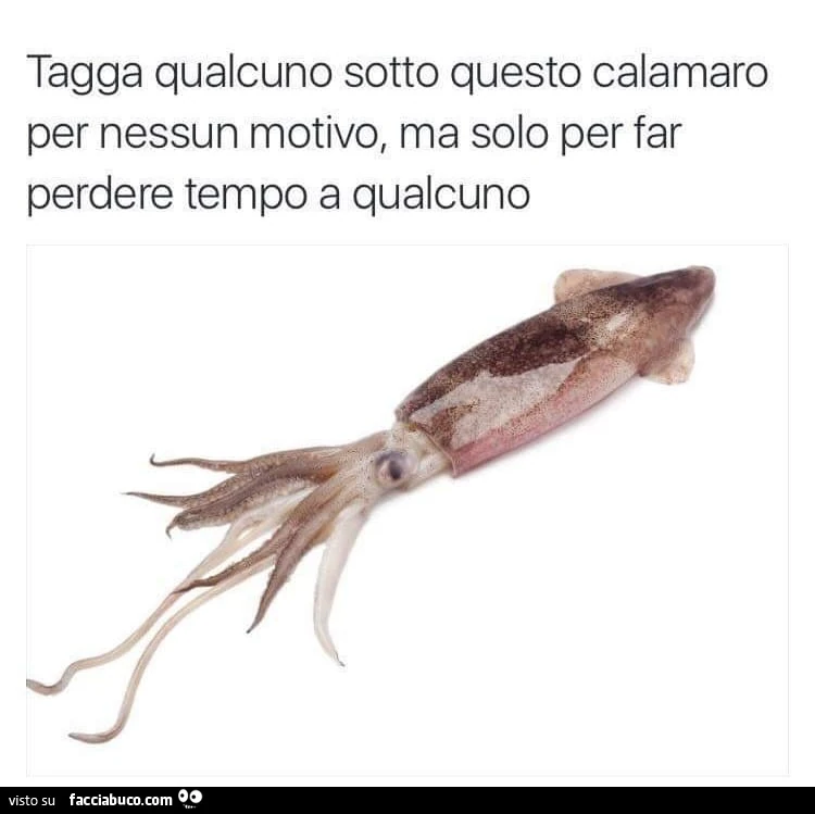 Tagga qualcuno sotto questo calamaro per nessun motivo, ma solo per far perdere tempo a qualcuno