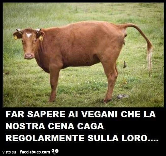 Vaccata